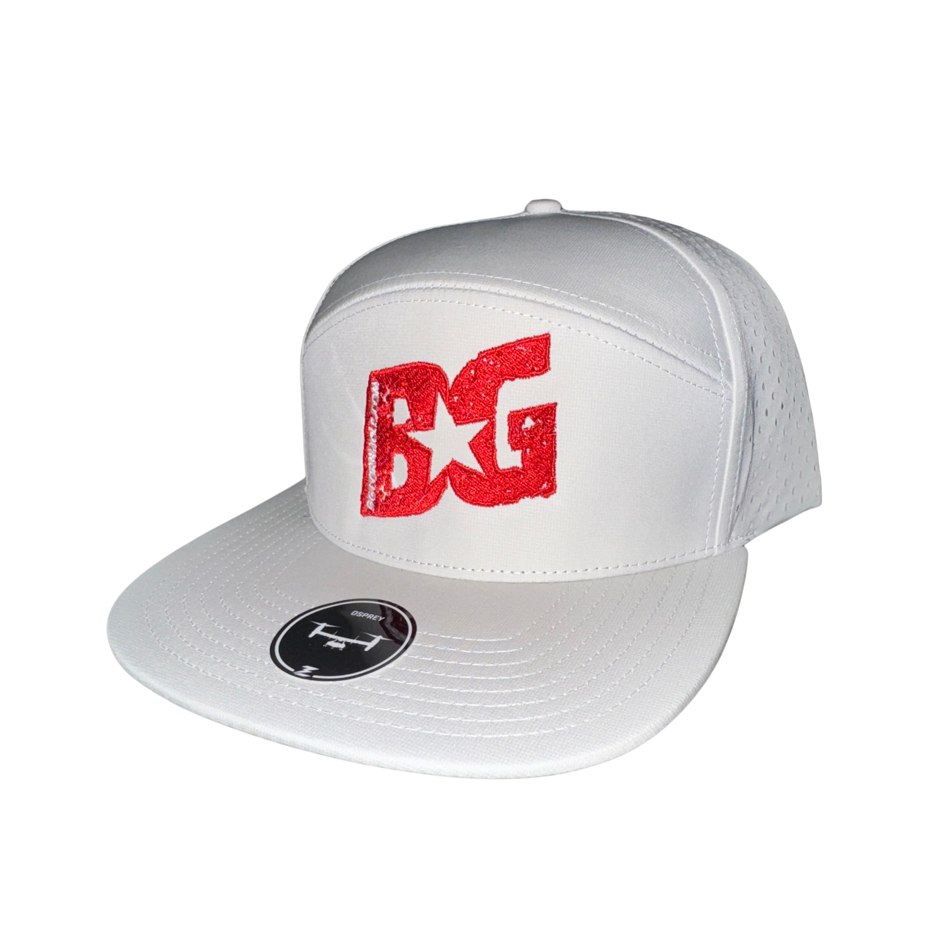 Creme BG Zapped Osprey 7 Panel Hat