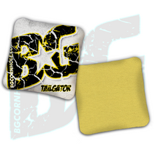 Load image into Gallery viewer, 2026 BG Multiple Bag Models  - "Crackle" - Non Stamped Cornhole Bags - SET OF 4 bags